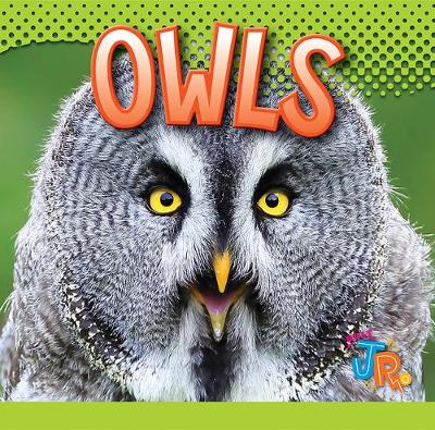 Cover of Owls