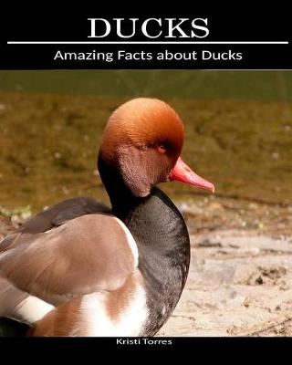 Book cover for Amazing Facts about Ducks