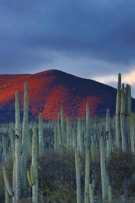 Book cover for Desert Vista Cactus Journal