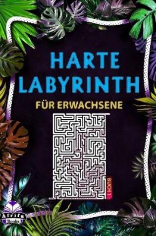 Cover of Harte Labyrinthbücher für Erwachsene