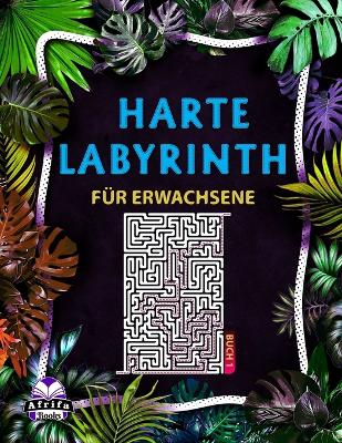 Book cover for Harte Labyrinthbücher für Erwachsene