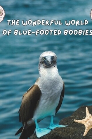 Cover of The Wonderful World of Blue-footed Boobies