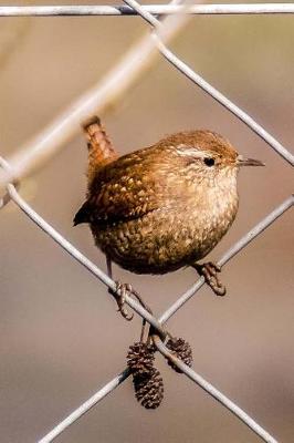 Book cover for A Little Brown Wren on a Chain-Link Fence Bird Journal