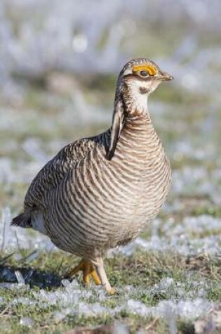 Cover of Lesser Prairie Chicken Journal