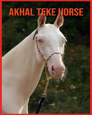 Book cover for Akhal Teke Horse