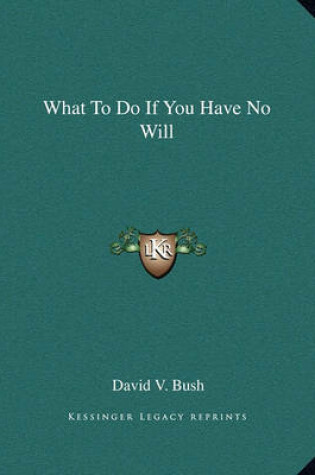 Cover of What to Do If You Have No Will