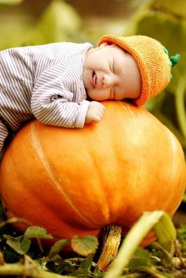 Book cover for Baby Sleeping on a Pumpkin at the Pumpkin Patch Journal