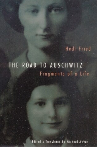 Cover of The Road to Auschwitz