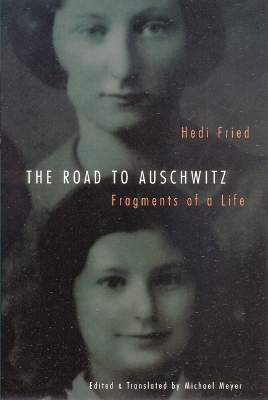 Book cover for The Road to Auschwitz