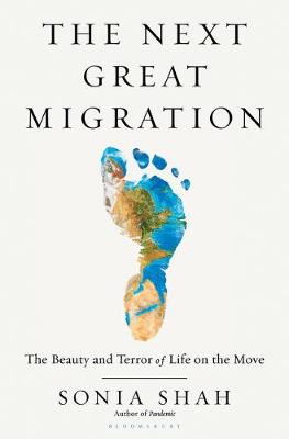 Book cover for The Next Great Migration