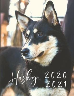 Book cover for 2020-2021 2 Year Planner Husky Dog Monthly Calendar Goals Agenda Schedule Organizer