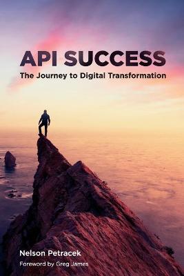 Book cover for API Success