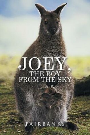 Cover of Joey, the Boy from the Sky