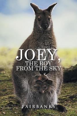 Book cover for Joey, the Boy from the Sky