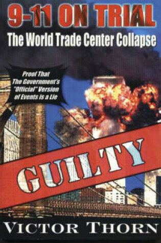 Cover of 9-11 on Trial