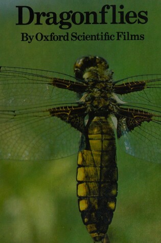 Cover of Dragonflies