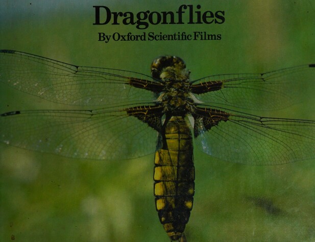 Cover of Dragonflies