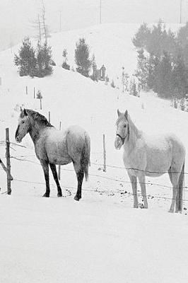Book cover for Journal Horses Winter Farm Scene
