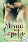 Book cover for Meant To Be Family