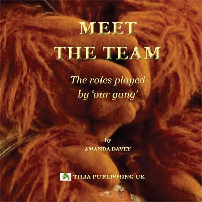 Book cover for Meet the Team