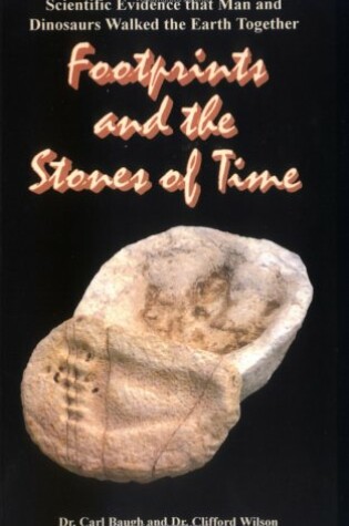 Cover of Footprints and the Stones of Time