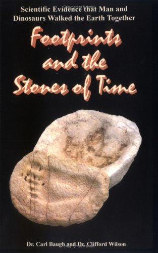 Book cover for Footprints and the Stones of Time