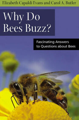 Cover of Why Do Bees Buzz?