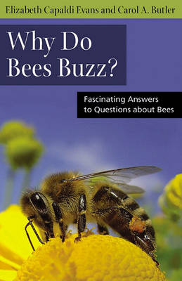 Book cover for Why Do Bees Buzz?