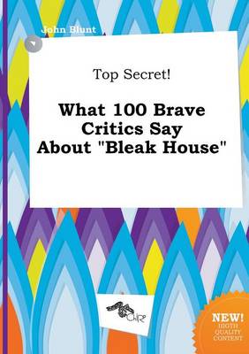 Book cover for Top Secret! What 100 Brave Critics Say about Bleak House