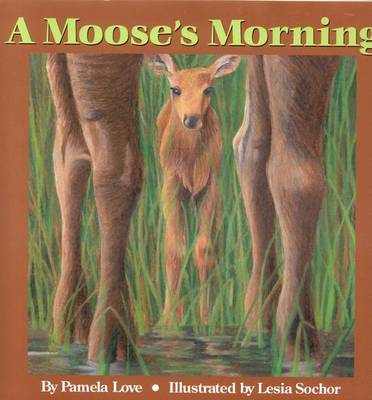 Book cover for A Moose's Morning