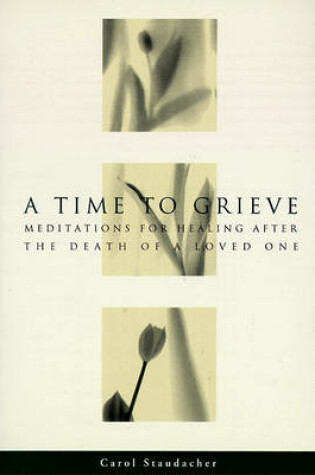 Cover of A Time to Grieve