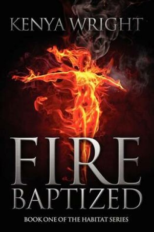 Cover of Fire Baptized