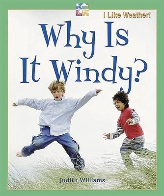 Book cover for Why Is It Windy?
