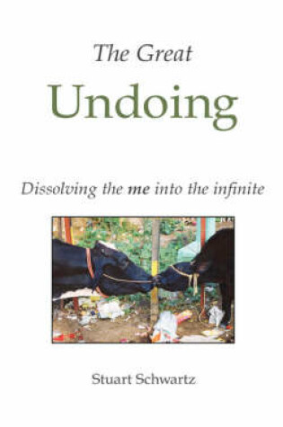 Cover of The Great Undoing