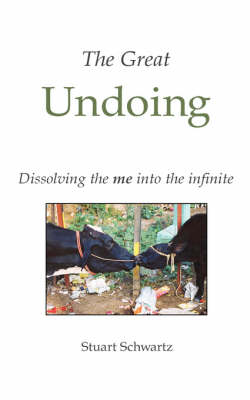 Book cover for The Great Undoing