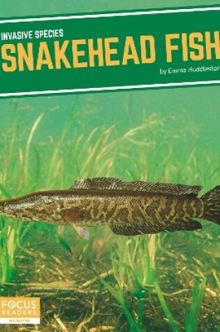 Cover of Invasive Species: Snakehead Fish