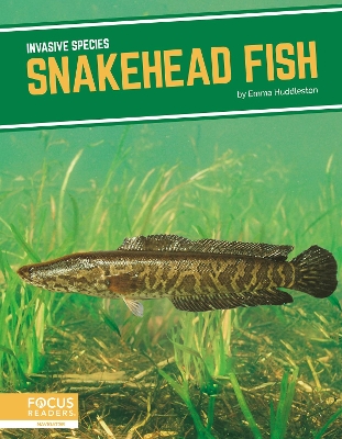 Book cover for Invasive Species: Snakehead Fish