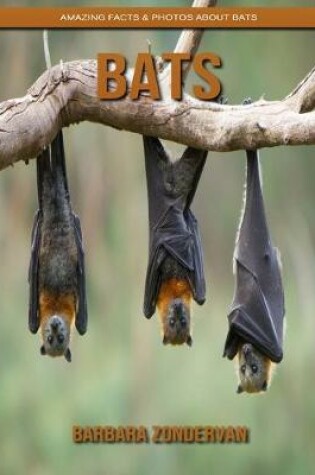 Cover of Bats