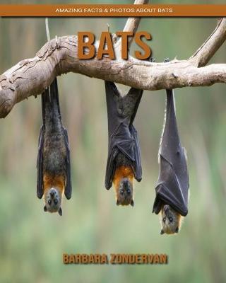 Book cover for Bats