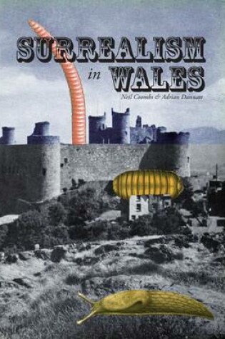 Cover of Surrealism in Wales