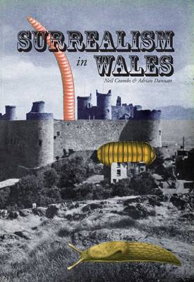 Book cover for Surrealism in Wales