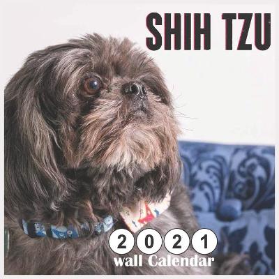 Book cover for Shih Tzu 2021 Wall Calendar