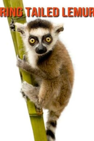 Cover of Ring Tailed Lemur