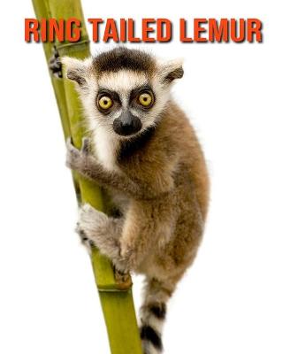 Book cover for Ring Tailed Lemur