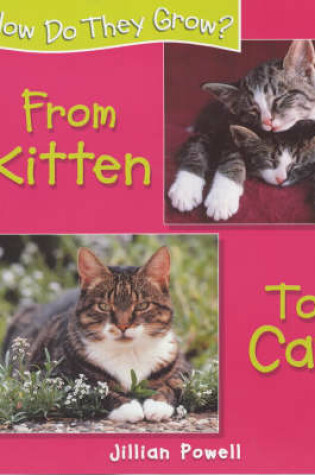 Cover of From Kitten to Cat