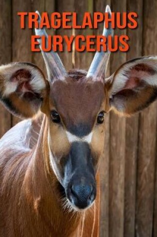 Cover of Tragelaphus eurycerus