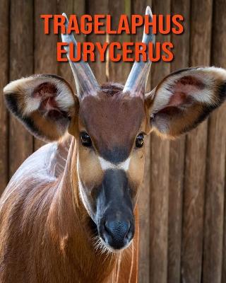 Book cover for Tragelaphus eurycerus