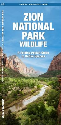 Book cover for Zion National Park Wildlife