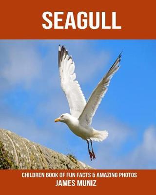 Book cover for Seagull