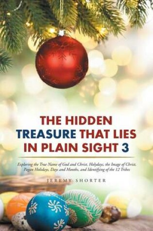 Cover of The Hidden Treasure That Lies in Plain Sight 3